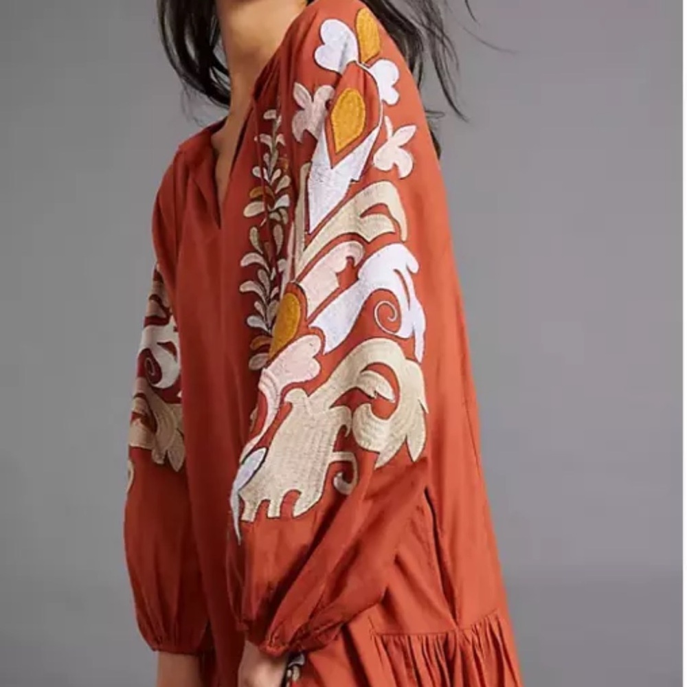 Anthropologie Rust Embroidered Long Sleeve Dress - Picture 15 of 17